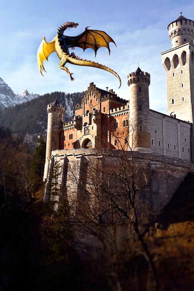 Dragon castle