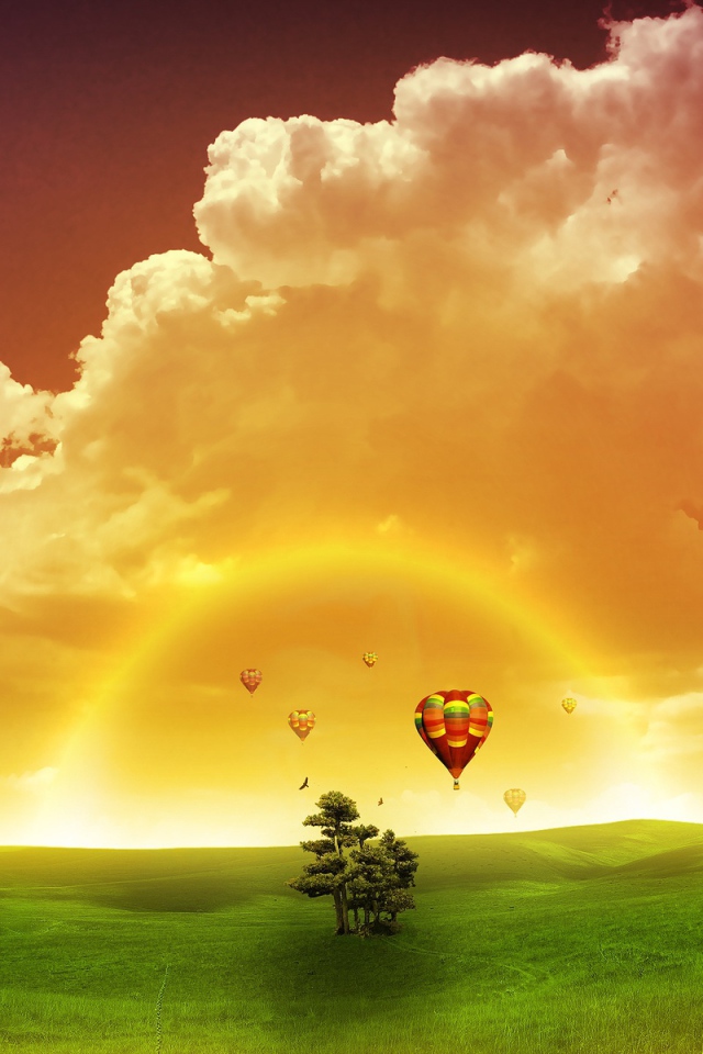 Полет мечты