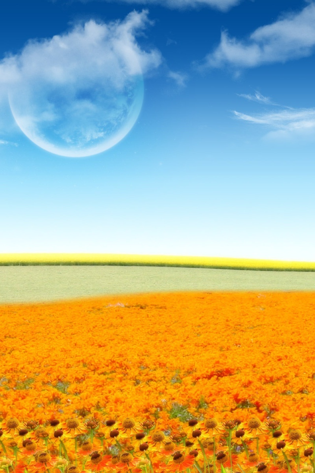 Фантастический мир цветов