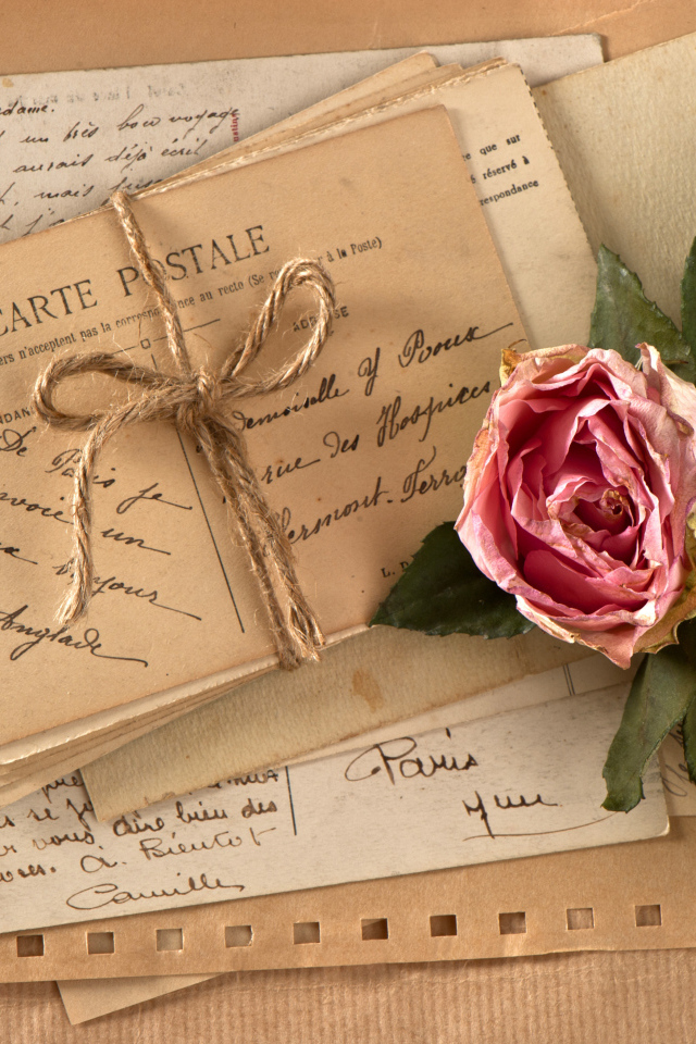 Засохшая роза на старой открытке