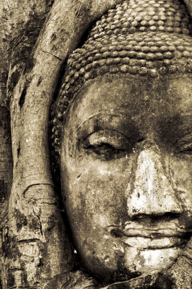 Лицо Будды в дереве