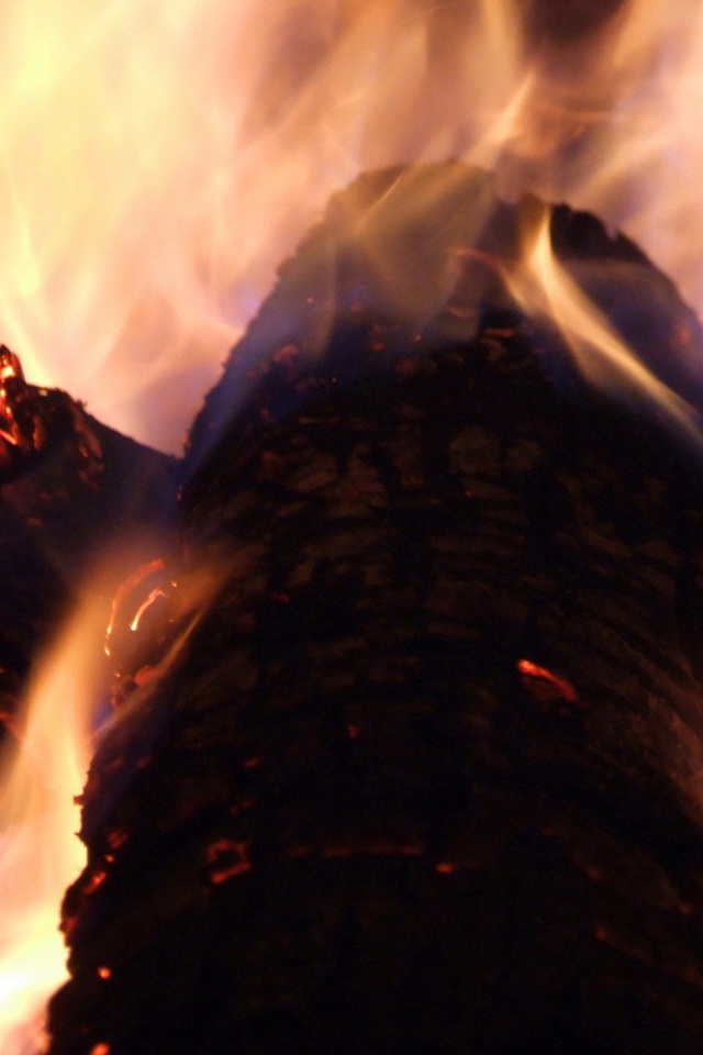 Огонь на дровах в камине