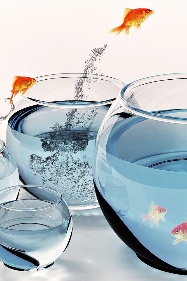 Рыбы и аквариумы