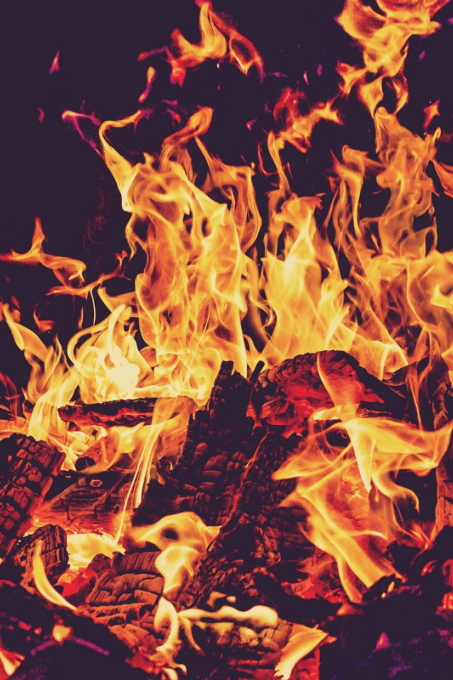 Пламя костра