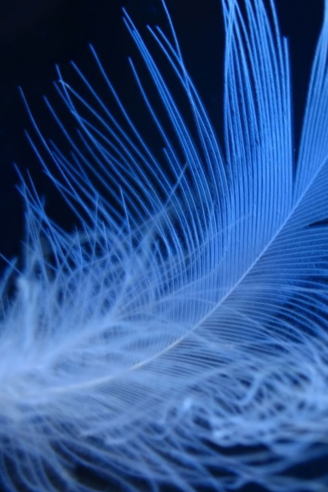 Пушистое неоновое перо