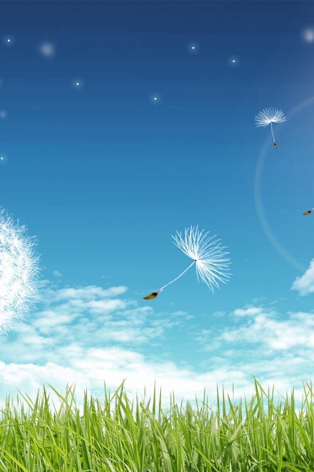 Чистые лучи солнца