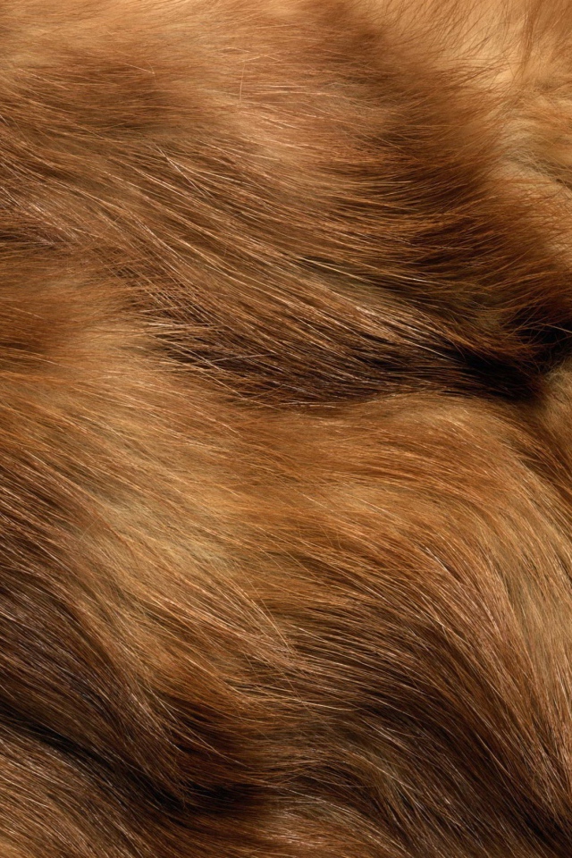 Мех животного