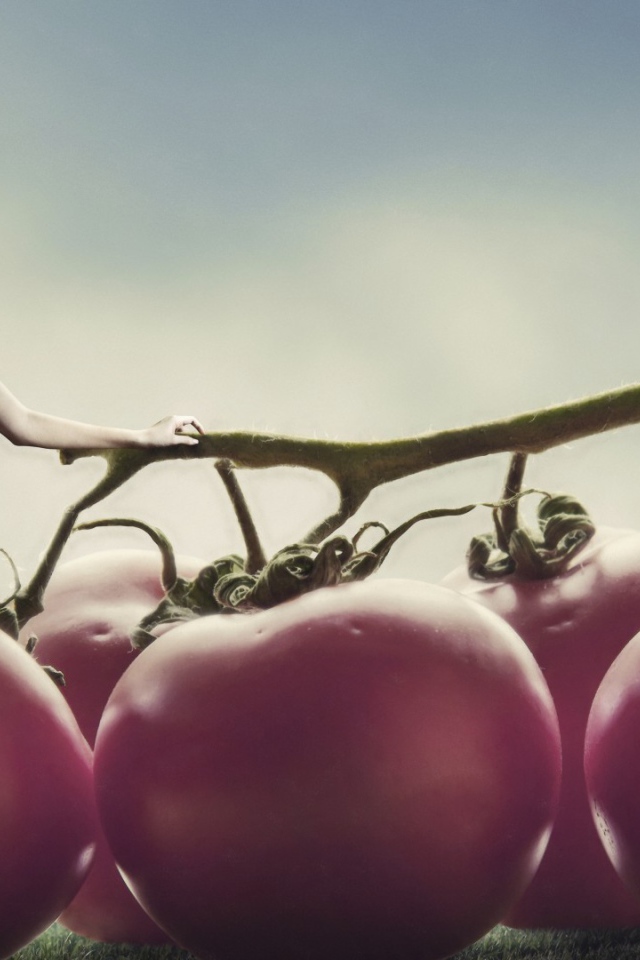 Девушка на томатах