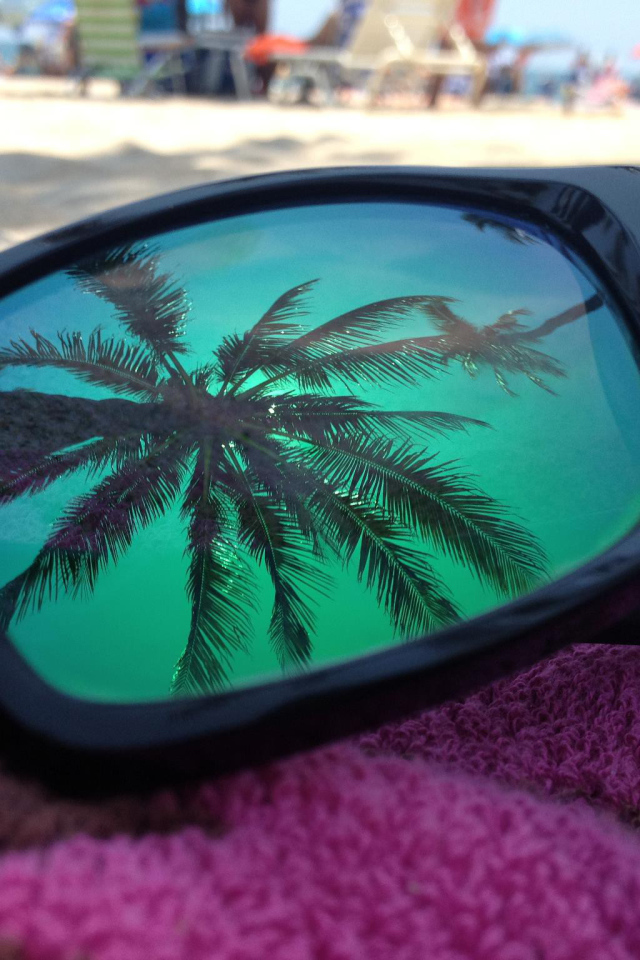 В очках отражение пальмы