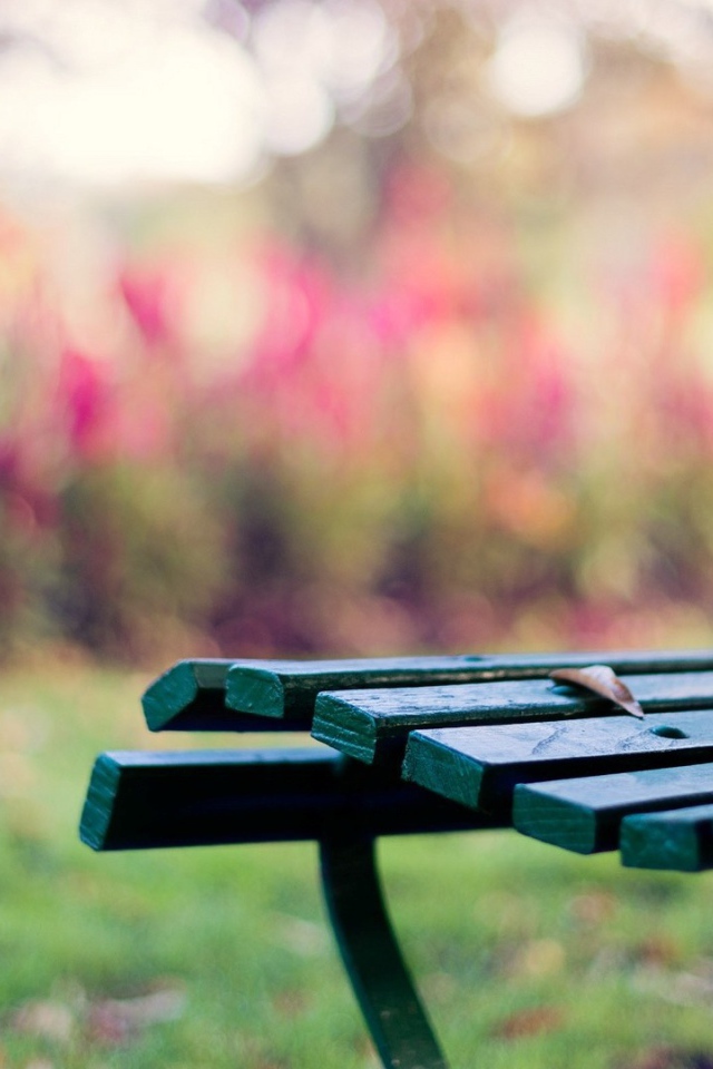 Зелёная скамейка на траве