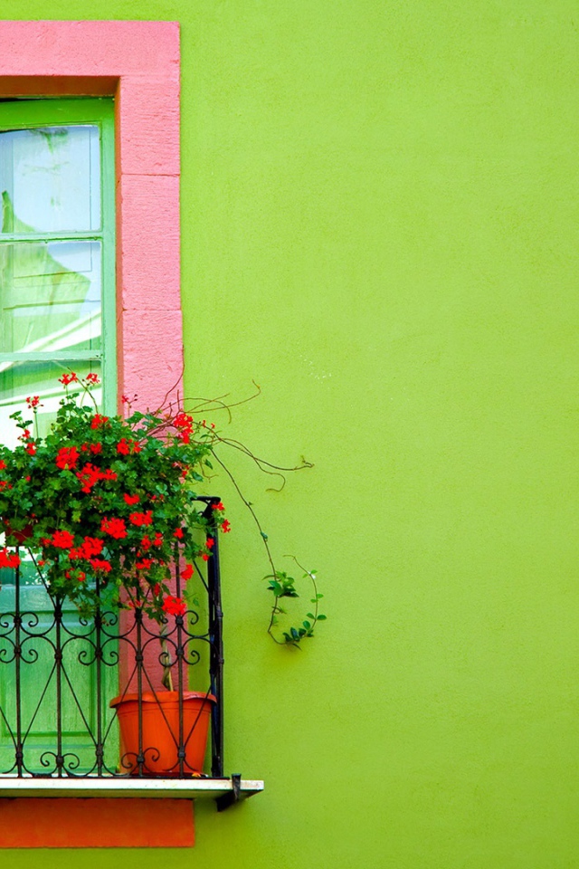 Окно на зеленой стене