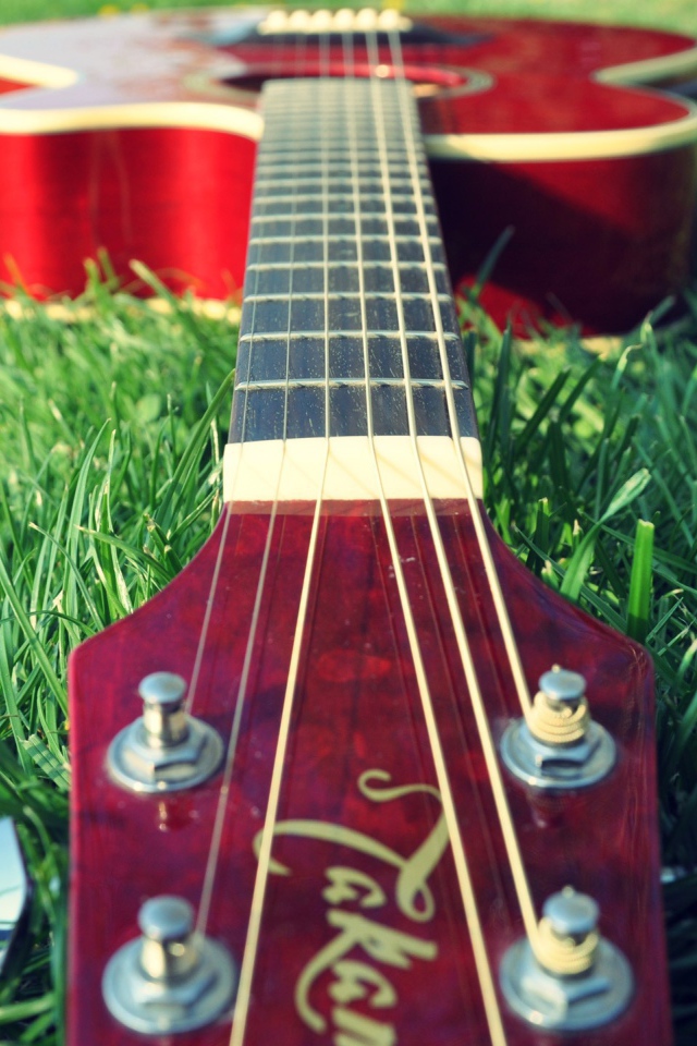 Гитара на траве