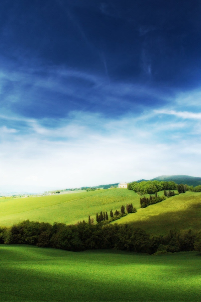 Полет мечты