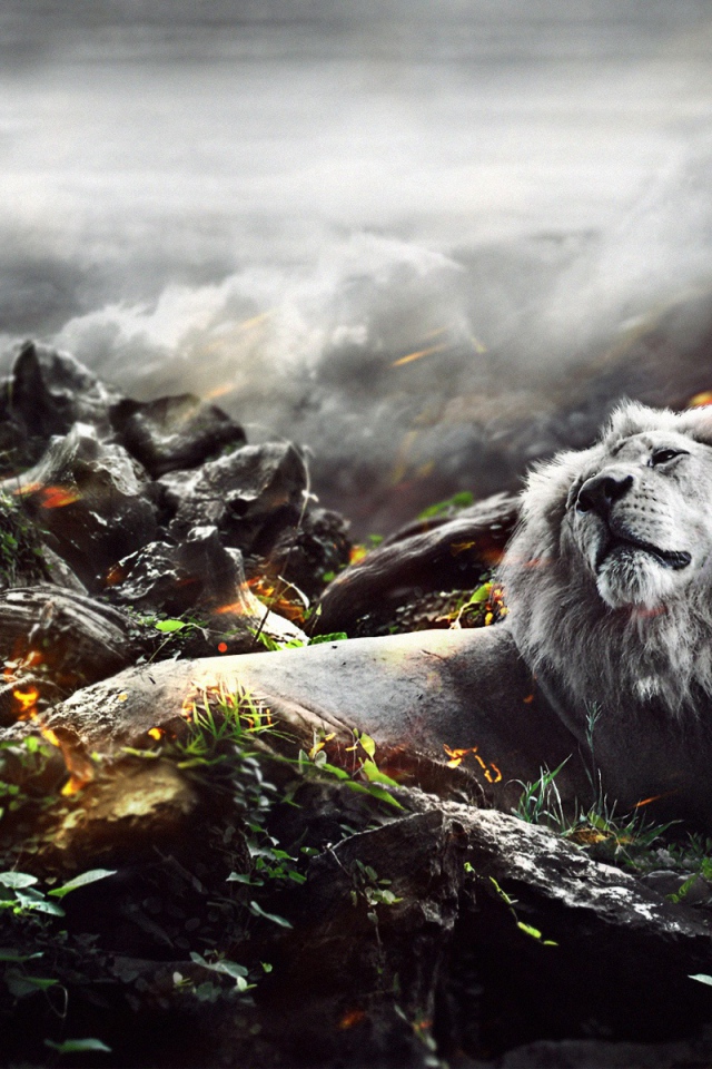 Лев в джунглях