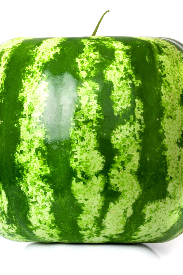 Просто квадратный арбуз