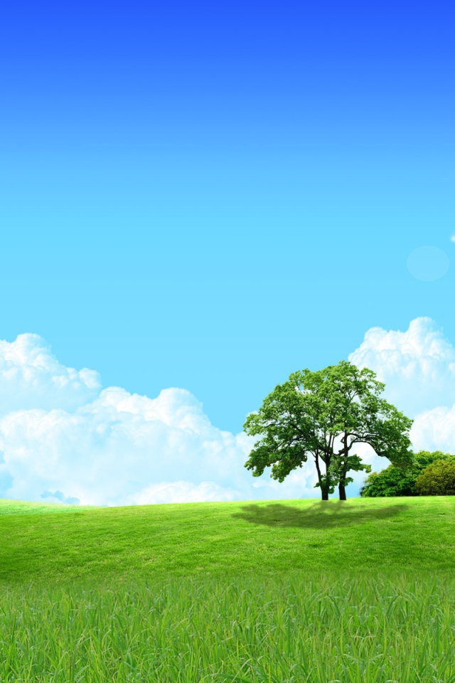 Любимый пейзаж