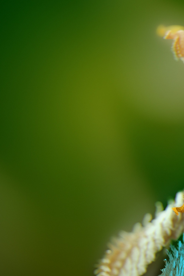 Микро объект 