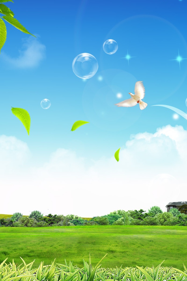 Мирная жизнь