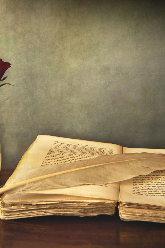 Перо и ваза с розой