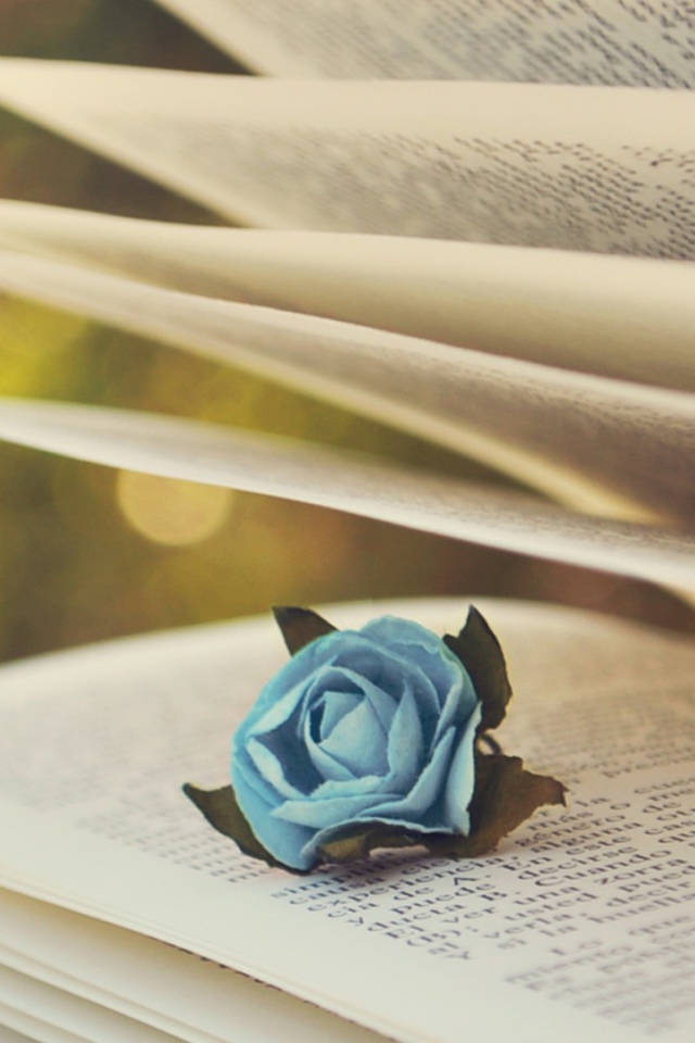 Роза в книге