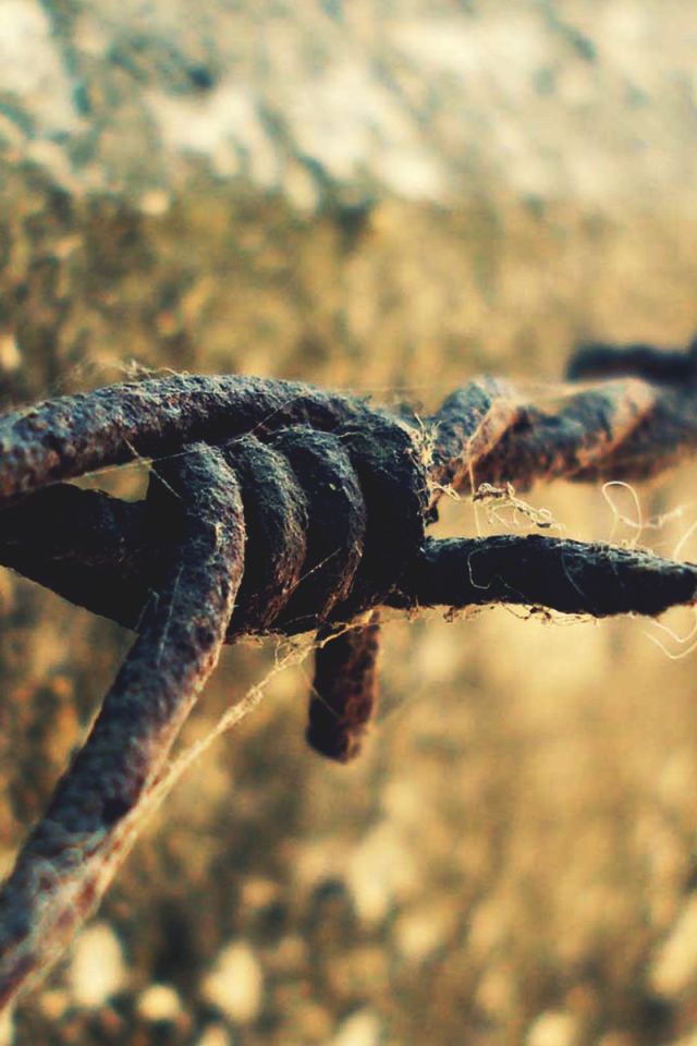 Ржавая колючая проволока