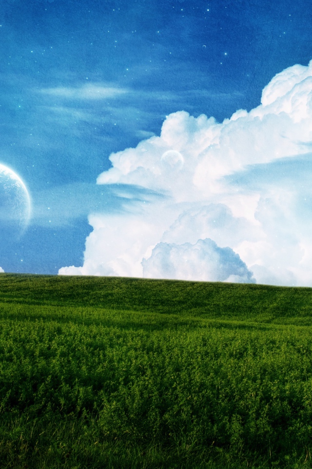 Поле и небо