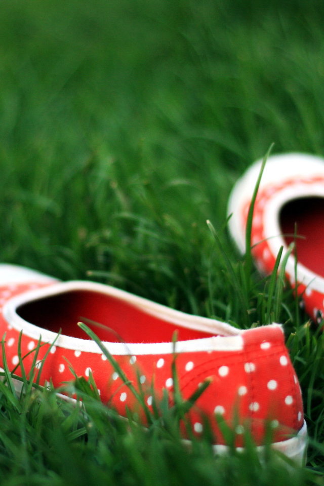 Тапочки в траве