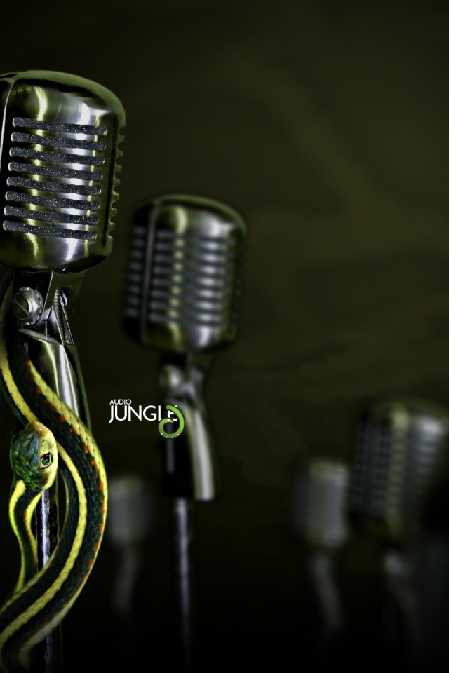 Создание аудио джингла