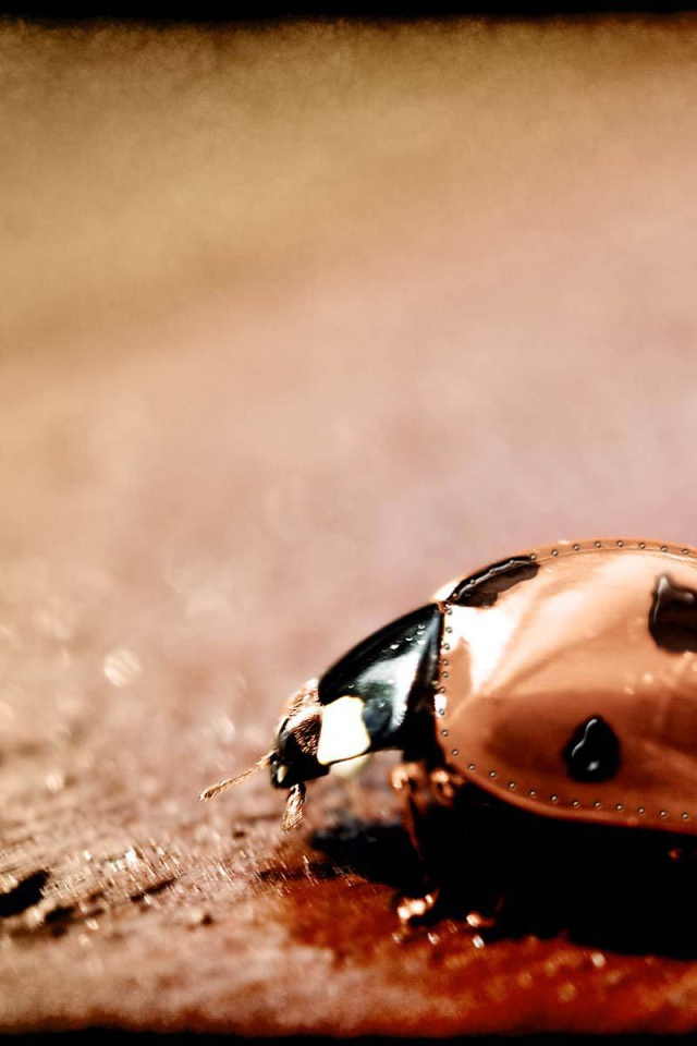 Железный жучок стимпанк