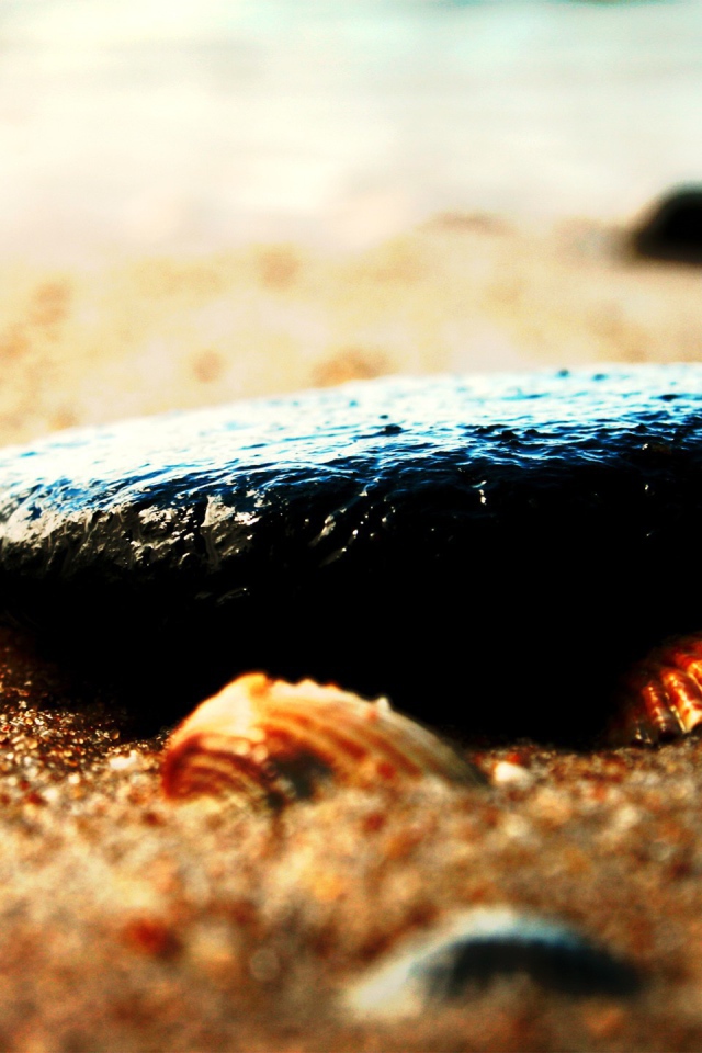 Камень и ракушки