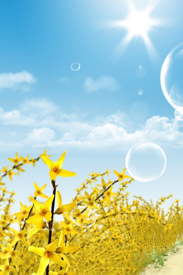 Сияние солнца