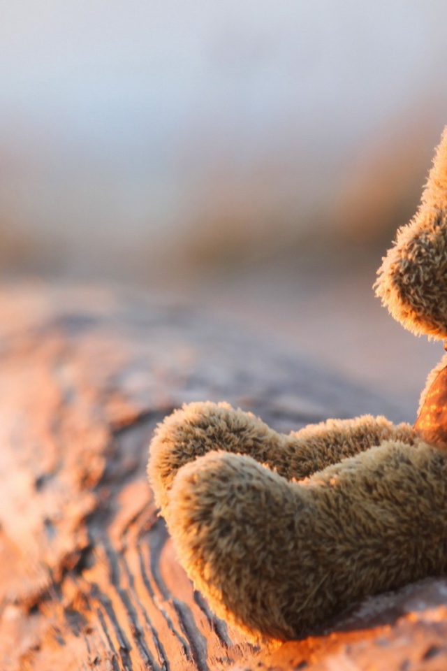 Плюшевый мишка на закате