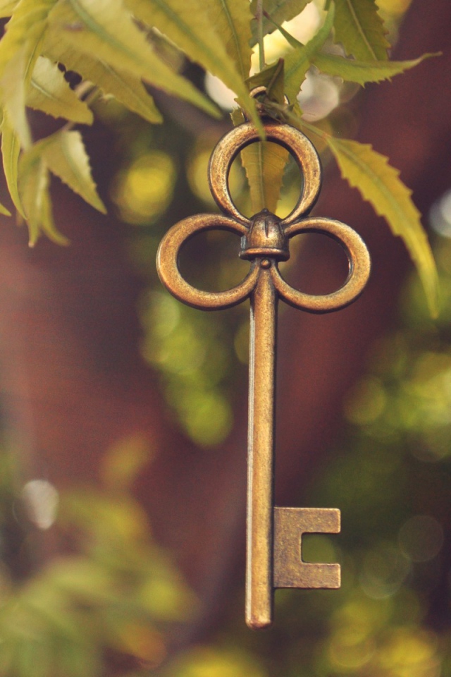 Ключ висит на ветке