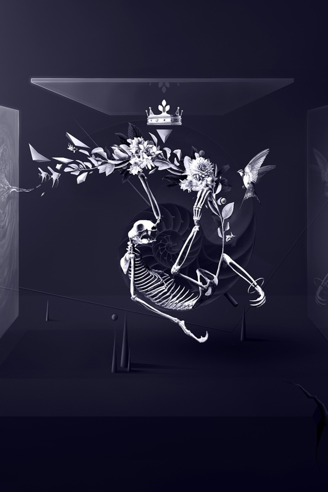 Скелет между стеклами