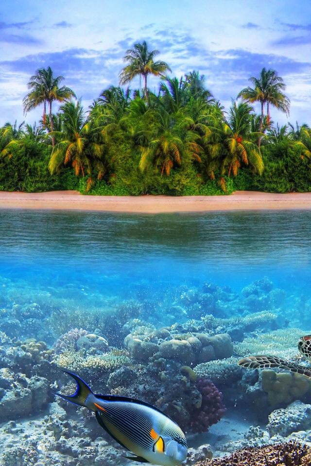 Подводный мир на острове