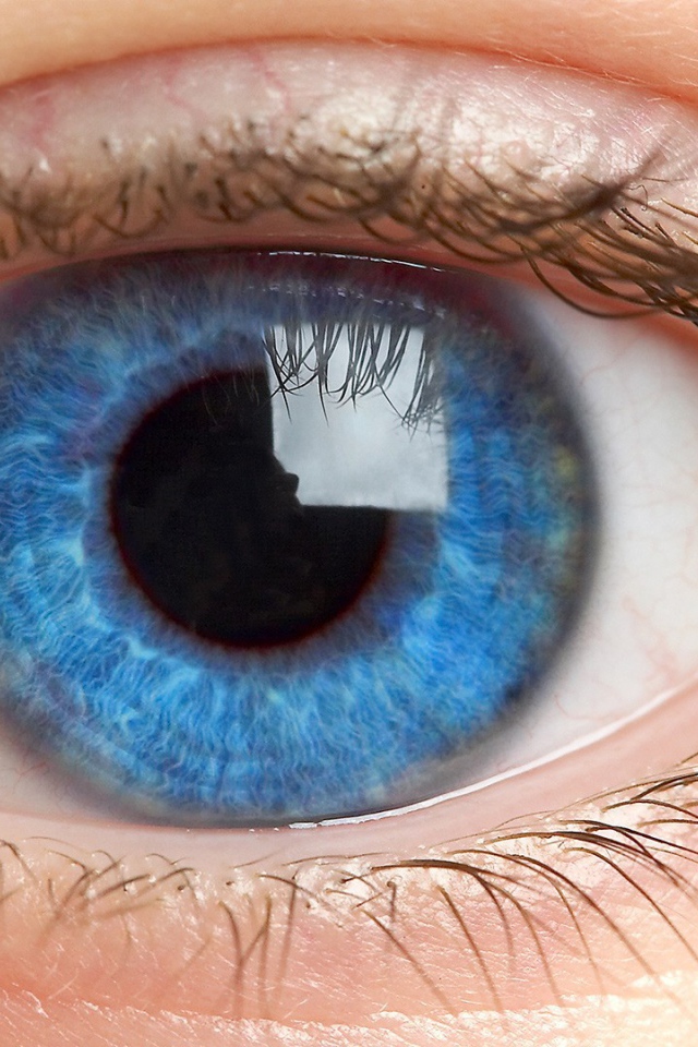 Синий открытый  глаз
