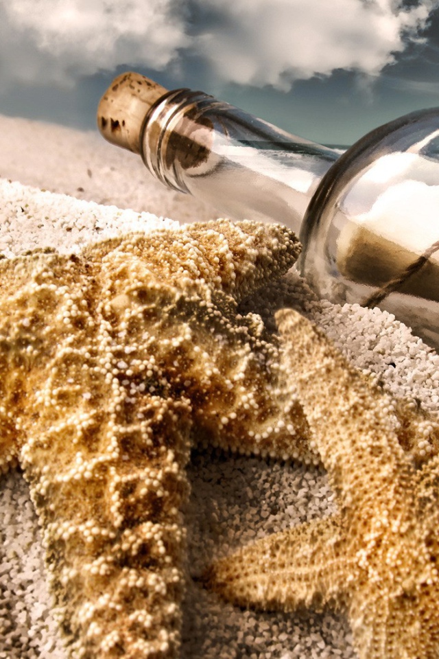 Морская звезда и бутылка с письмом