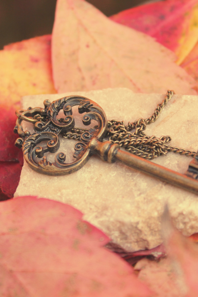 Ключ с цепочкой