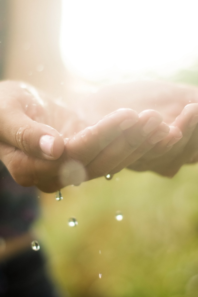 Ладони с водой