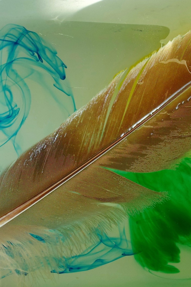 Перо и разлитые краски