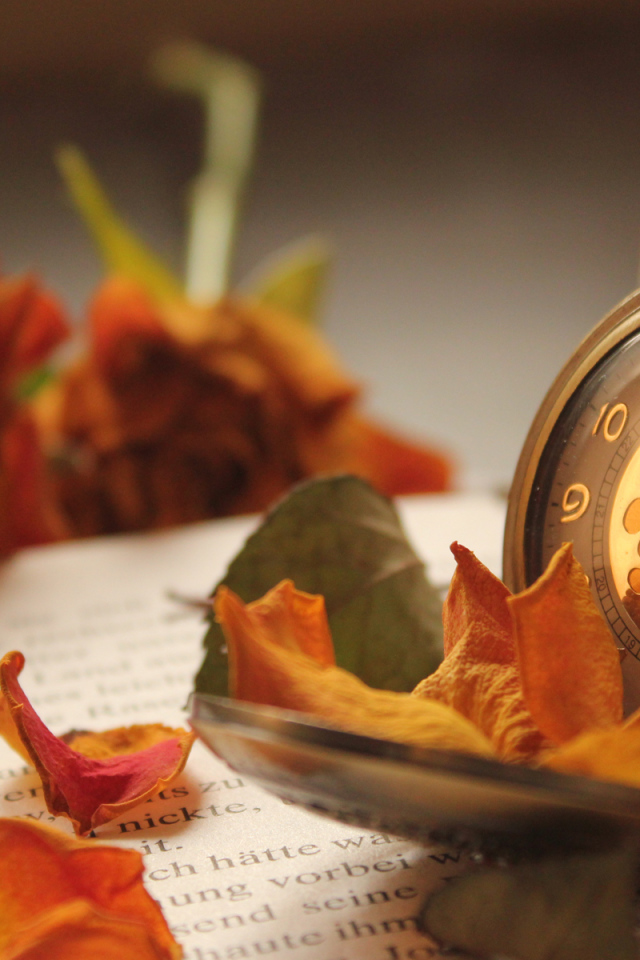 Карманные часы на книге