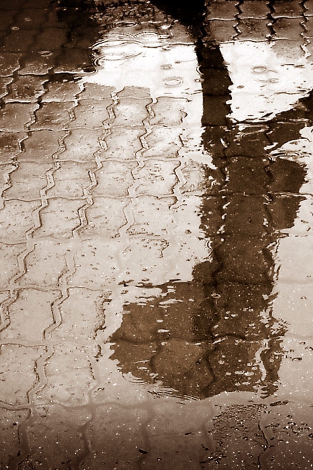 Отражение человека в луже