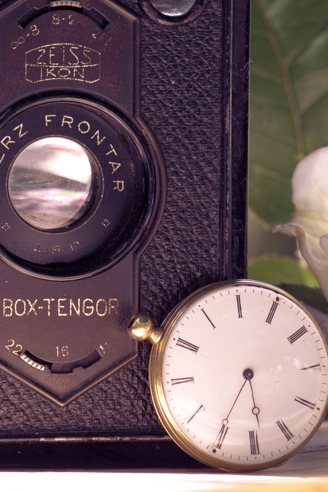 Ретро фотоаппарат и роза