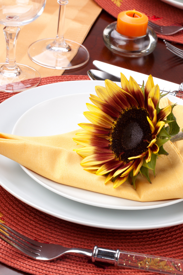 Цветок подсолнуха на тарелке