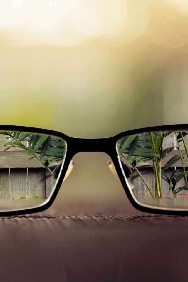 Видимый мир через очки