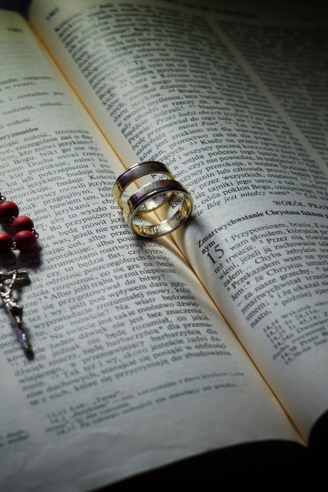 Два кольца на книге