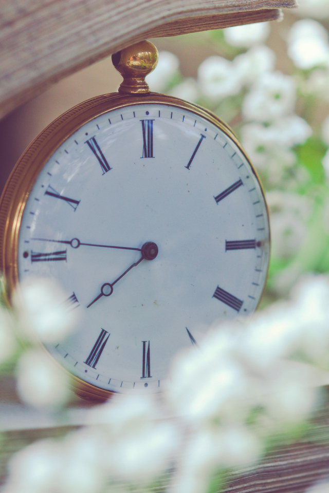 Белые карманные часы