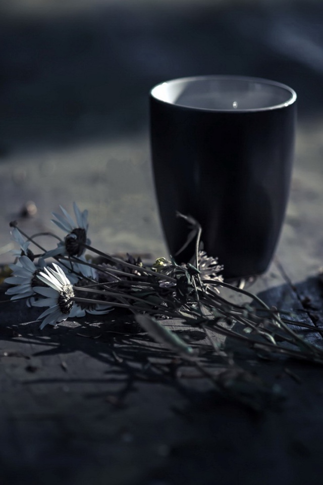 Чашка книга и цветы