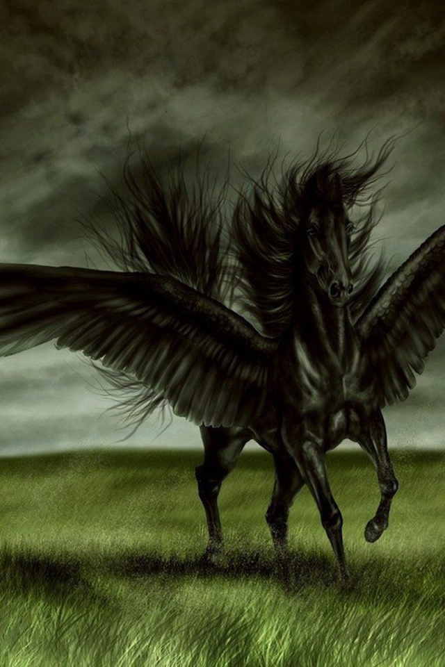 Черная лошадь с крыльями