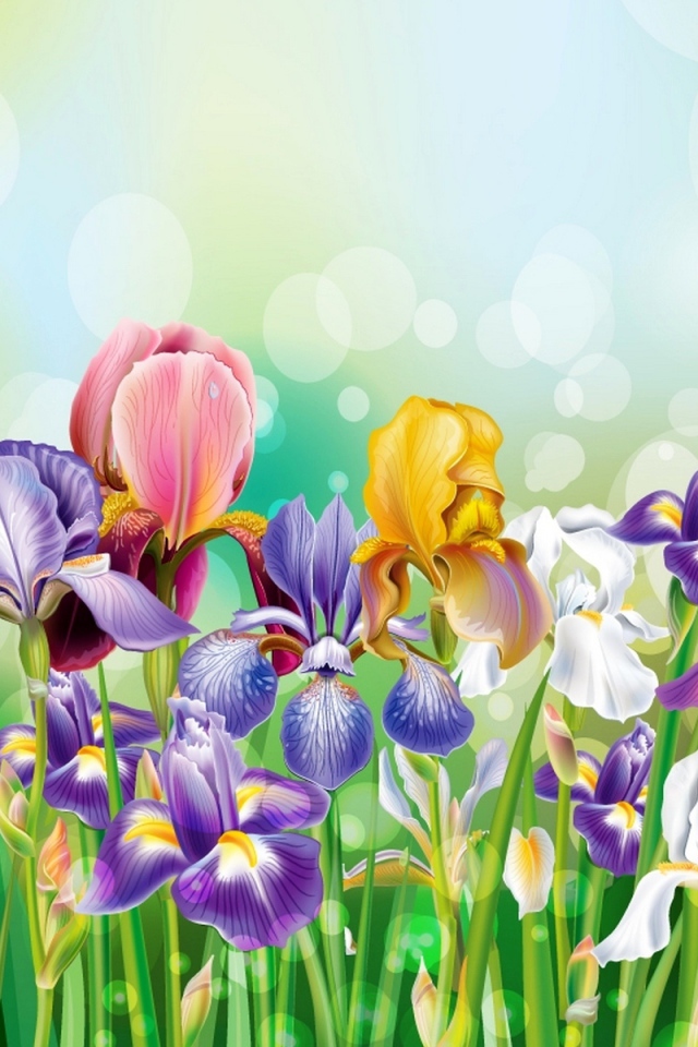 Букет полевых цветов